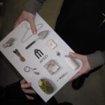 Кабінет незнаних див | 12х2ml